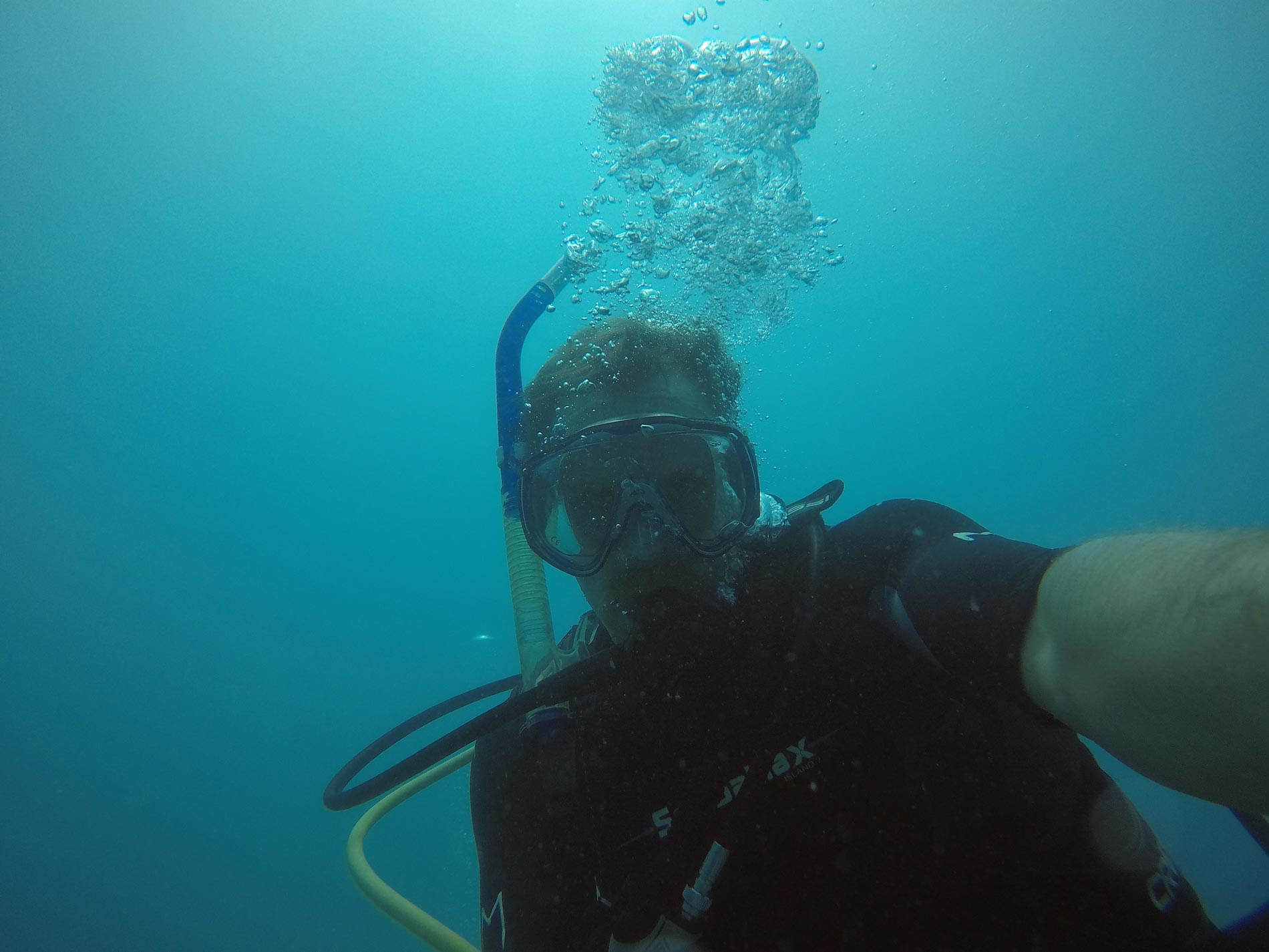 Diver Services Professional Diver & Marine Service